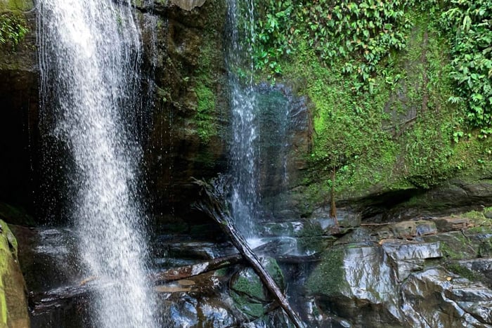 Puerto Viejo&Cahuita : Circuit des 3 cascades, Talamanca, Limón