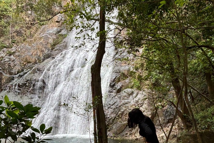 Trekking experience with transport included