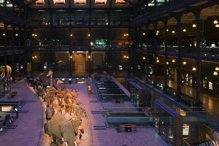 París: ticket de entrada a la Gran Galería de la Evolución
