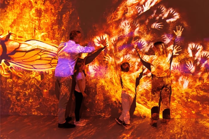 Cité Immersive des Fables – bilet wstępu