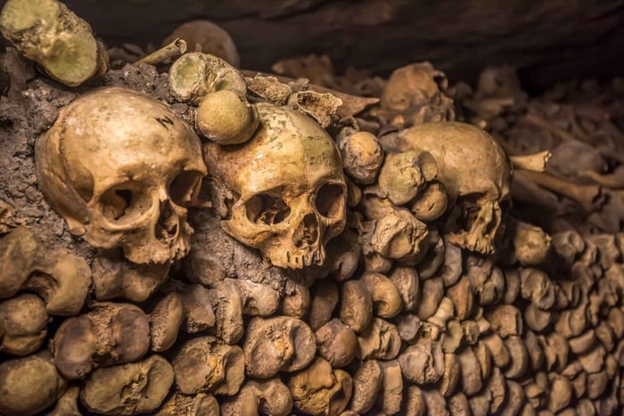 Visita guiada às Catacumbas de Paris sem fila e entrada especial