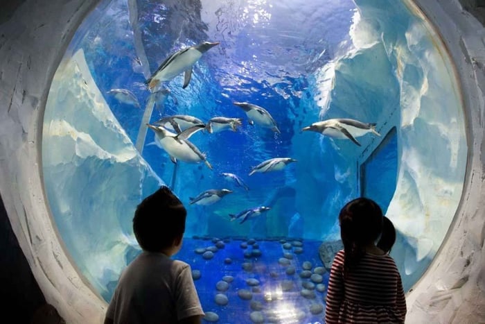 SEA LIFE Pariisi: Paris Paris: Pääsylippu