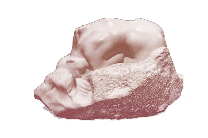 Skip-the-line Rodin Tour with Artist