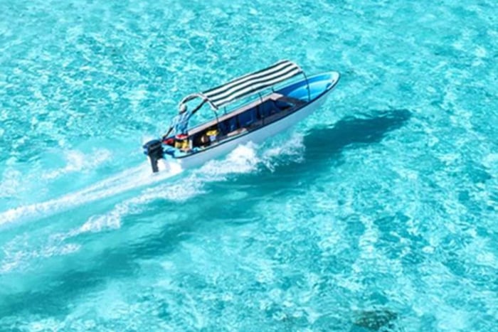 Zanzibar: Passeio com Golfinhos em Mnemba, Snorkel e Nado com Tartarugas