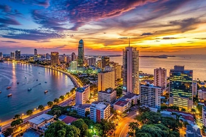 Från Bangkok: Privat familjeutflykt till Pattaya med skaldjur och kultur