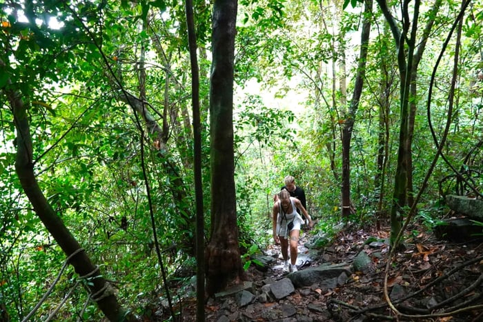 Au départ de Pattaya : Excursion d'une journée à Rayong Adventure Hike and Kayak