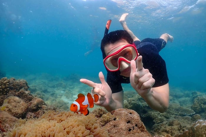 Samaesarn : Finding Nemo Snorkeling Tour Yksityinen pikaveneellä