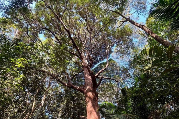 Hike or Boat Trip: Penang National Park & Garden Pick