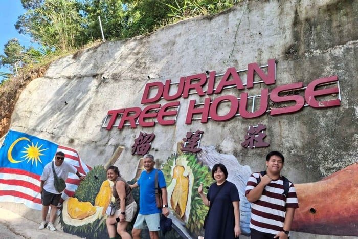 Penang Durian Buffet and Farm Tour