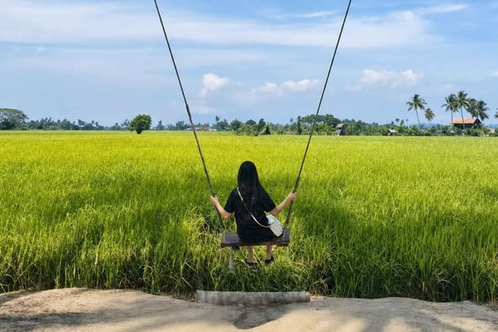Penang Mainland: 1-Day Trip with Temples, Food & Countryside