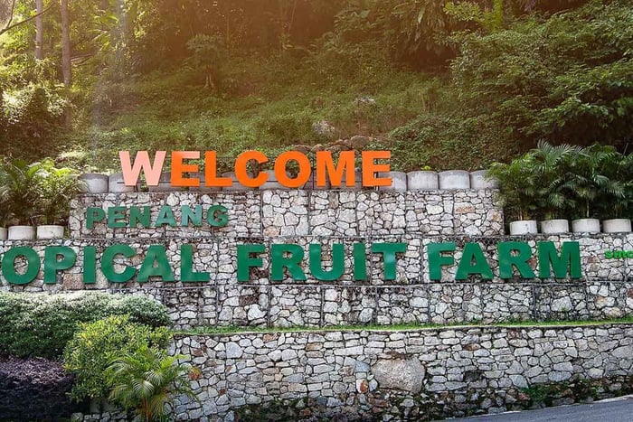 Penang: Tropical Fruit Farm Ticket