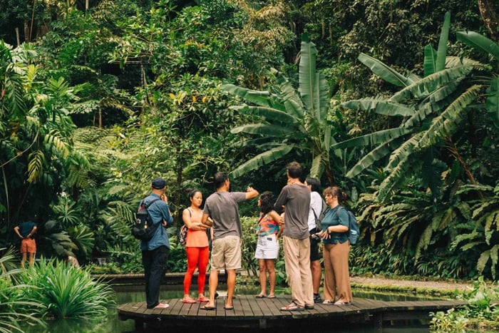 Visite guidée du Tropical Spice Garden