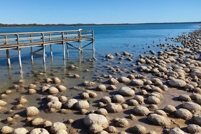Dagtour Clifton Thrombolites, Busselton Jetty & Canal Rocks