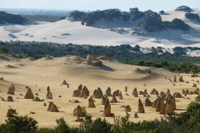 De Perth: excursão de um dia ao Deserto dos Pináculos, Yanchep e Swan Valley