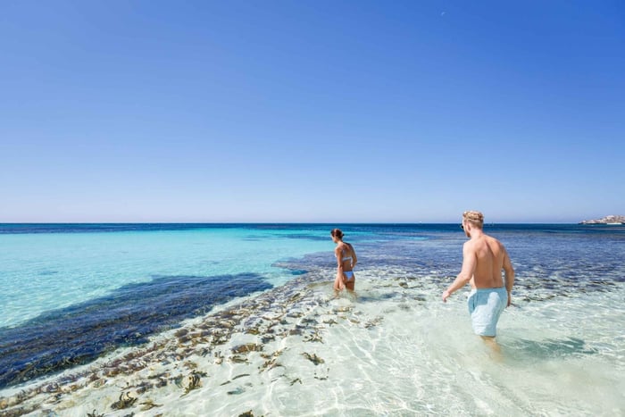 From Perth: Rottnest Island Ferry & Bus Day Tour