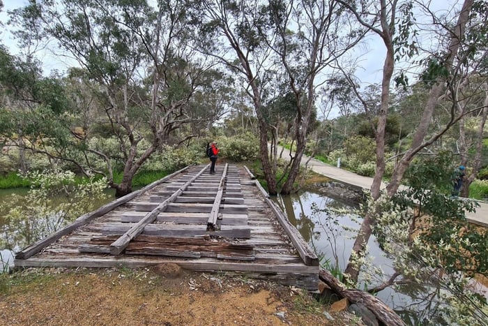 Perth Vandringsupplevelse i Bickley Valley med morgonte