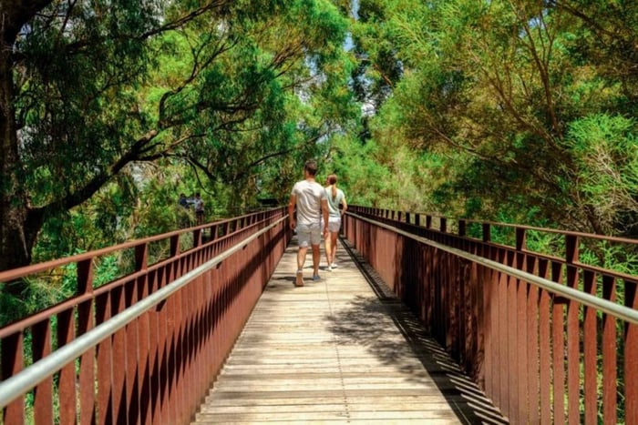 Perth Caminata guiada por Kings Park Botanicals & Beyond