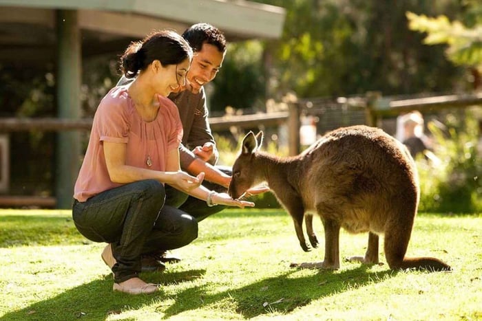Perth Wildlife Park & City Highlights - Wycieczki w małej grupie
