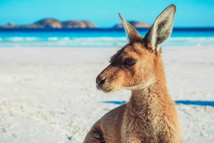 Margaret River to Esperance 6-Day Tour