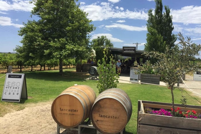 Swan Valley: Heldags vintur med lunch