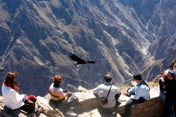 Arequipa: Colca 1 Full Day Trip with Views & Condor
