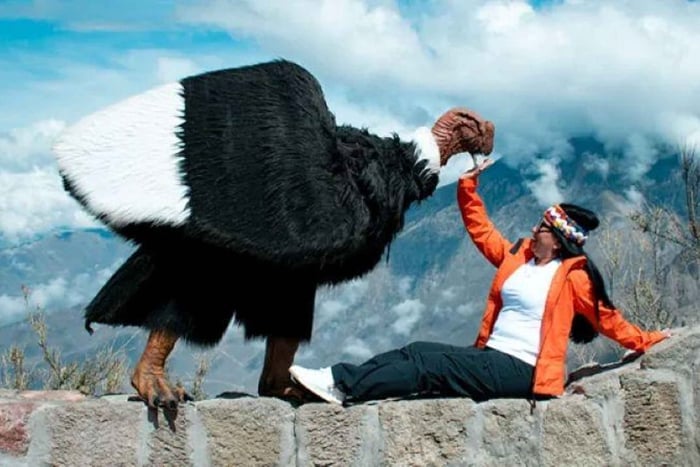 Arequipa: Colca Canyon Tour with Breakfast & Lunch