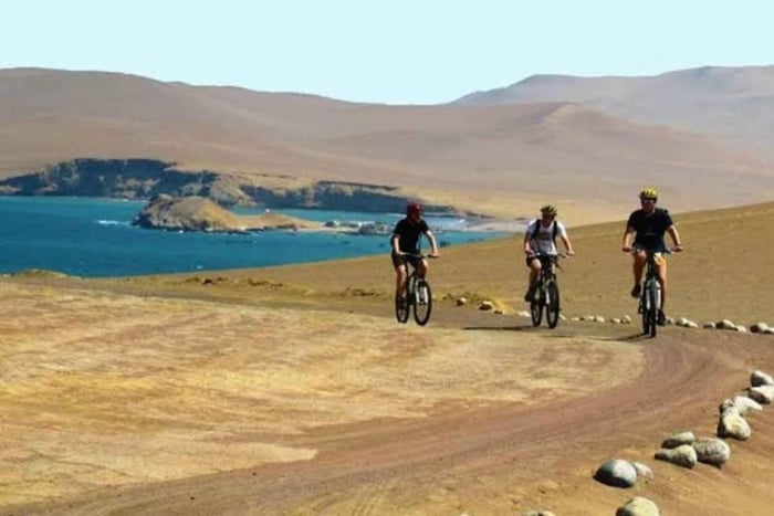 Cykelrutt genom Paracas + Ballestasöarna, Perus Galapagos