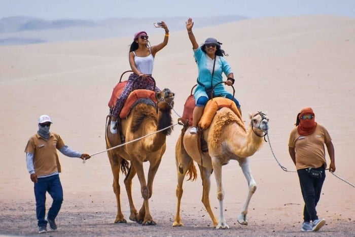Camel Ride and Wine Tasting in the Desert