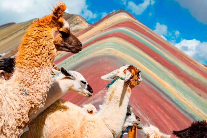 Cusco: Rainbow Mountain ja Red Valley -opastettu päiväretki aterioilla