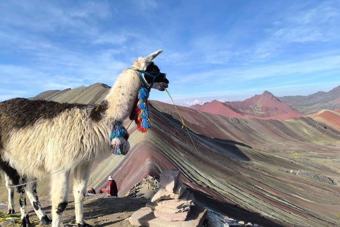 Cusco: Rainbow Mountain and Red Valley Small-Group Tour