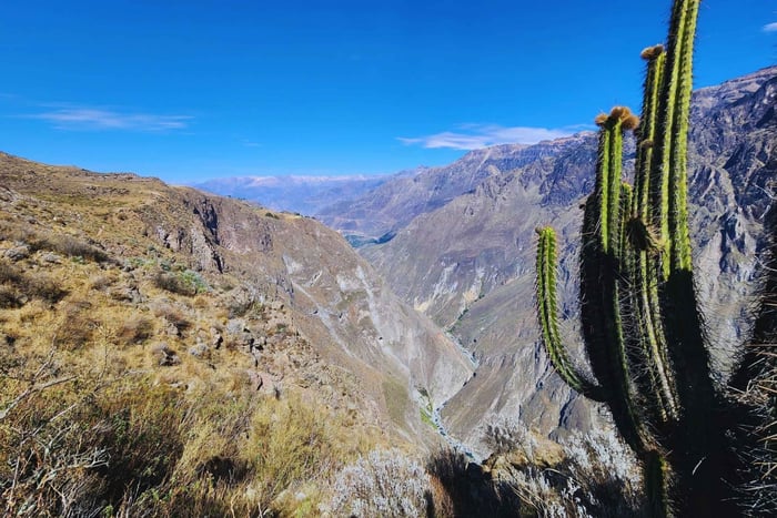 From Arequipa: 2-Day Colca Canyon & Lake Titicaca Tour
