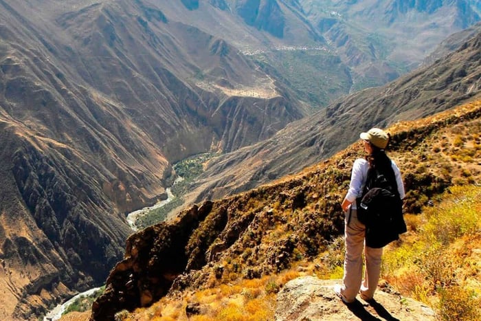 From Arequipa: Colca Canyon All-Inclusive Full-Day Tour