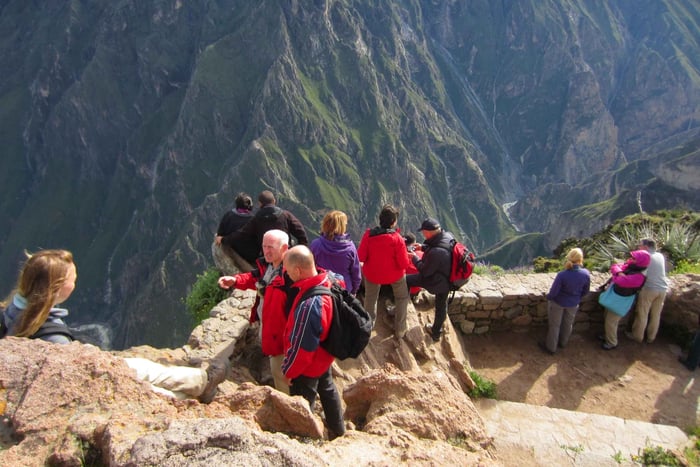 Depuis Arequipa : visite d'une journée au canyon de Colca avec repas inclus