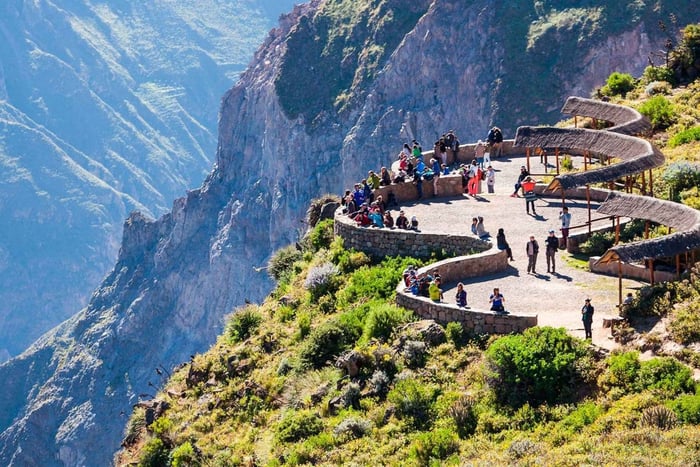 De Arequipa: Excursão de um dia ao Canyon de Colca + Transfer para Puno