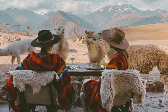 From Cusco: Andean Mountains 3-Course Lunch with Pickup