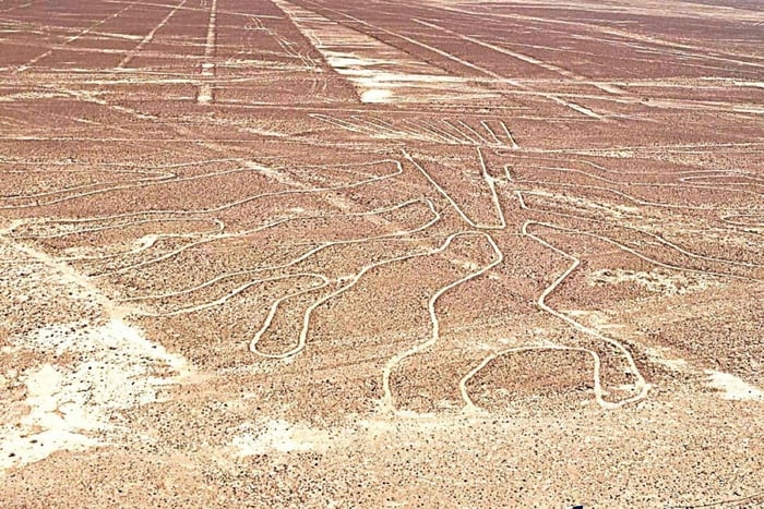 Desde el oasis de Huacachina: sobrevuelo a las Líneas de Nazca - bus a Lima