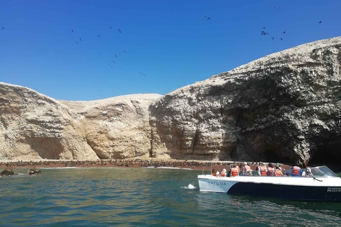 From Lima: Ballestas Islands & Nazca Lines with Meals