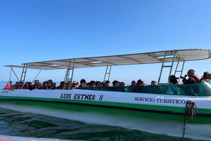 FRA LIMA: HELDAGSTUR TIL PARACAS - HUACACHINA