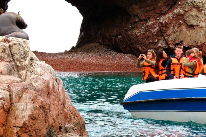 From Lima Private: Paracas & Huacachina with Lunch and Buggy