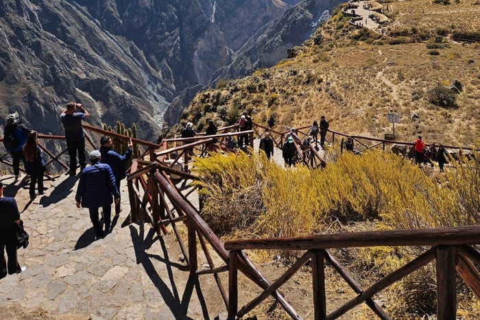 From Puno: Colca Canyon Expedition, Ending in Arequipa