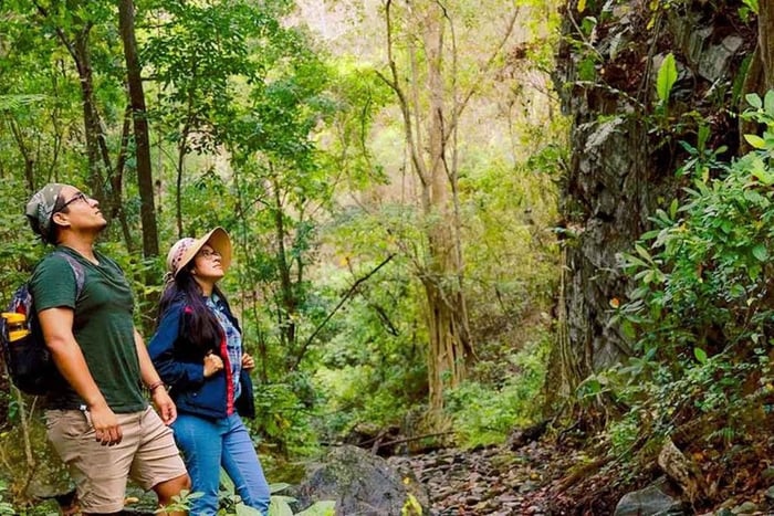 Från Tumbes: Cerros de Amotape nationalpark och vattenfall