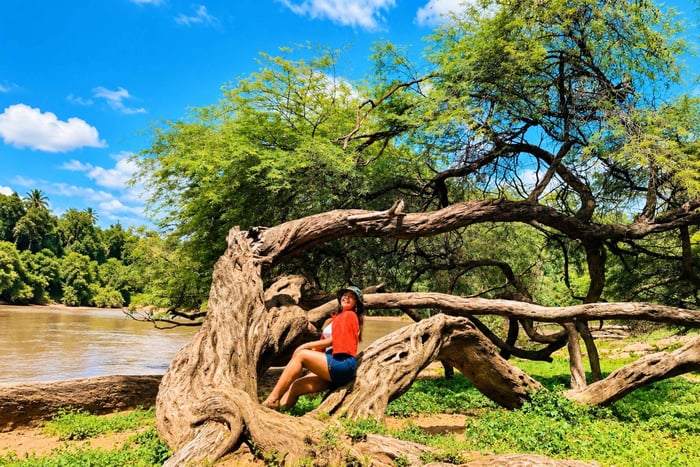 From Tumbes: Cerros de Amotape National Park Tour & Hike