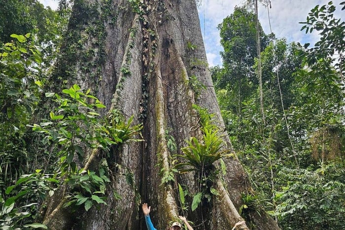 Iquitos: 5-Day Amazon Camp, Zipline & Jungle Tour
