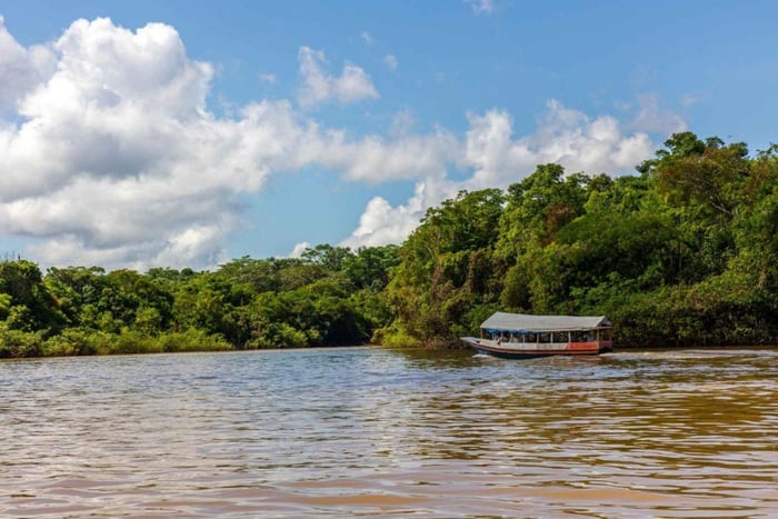 Iquitos: Aventura de 6 Dias em Lodge na Selva Amazônica
