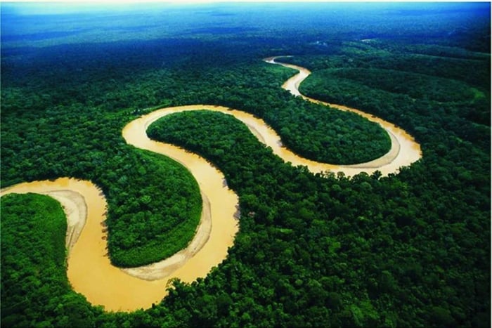 Iquitos: Excursão de 2 dias à Floresta Amazónica