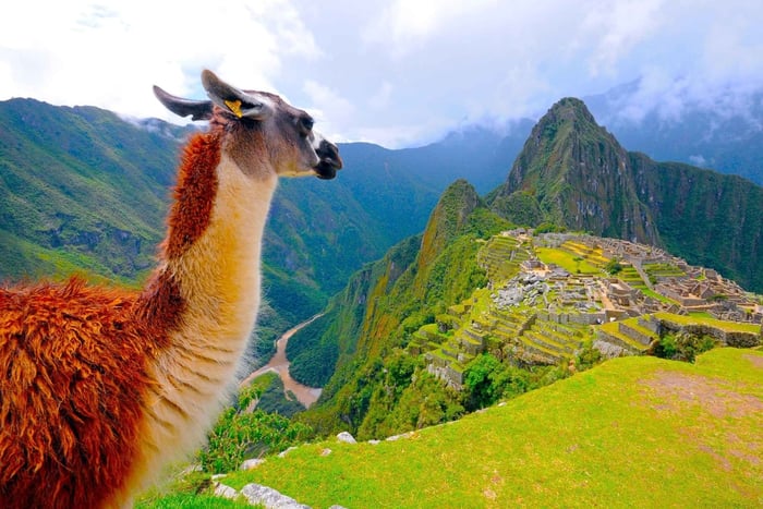Machu Picchu: Official Circuit 2 Entrance Ticket