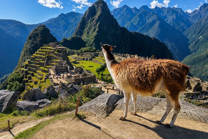 Machupicchu Aguas Calientes: Circuit 2 Entry Official Ticket