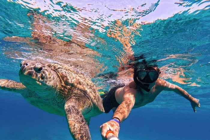 Mancora: Swim with Turtles - Life Time Experience