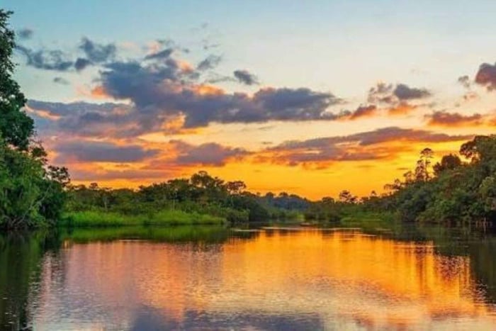 Manu: tour por la fauna de la selva amazónica y el yacimiento de arcilla de los guacamayos