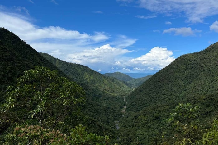 Manu National Park Tour
